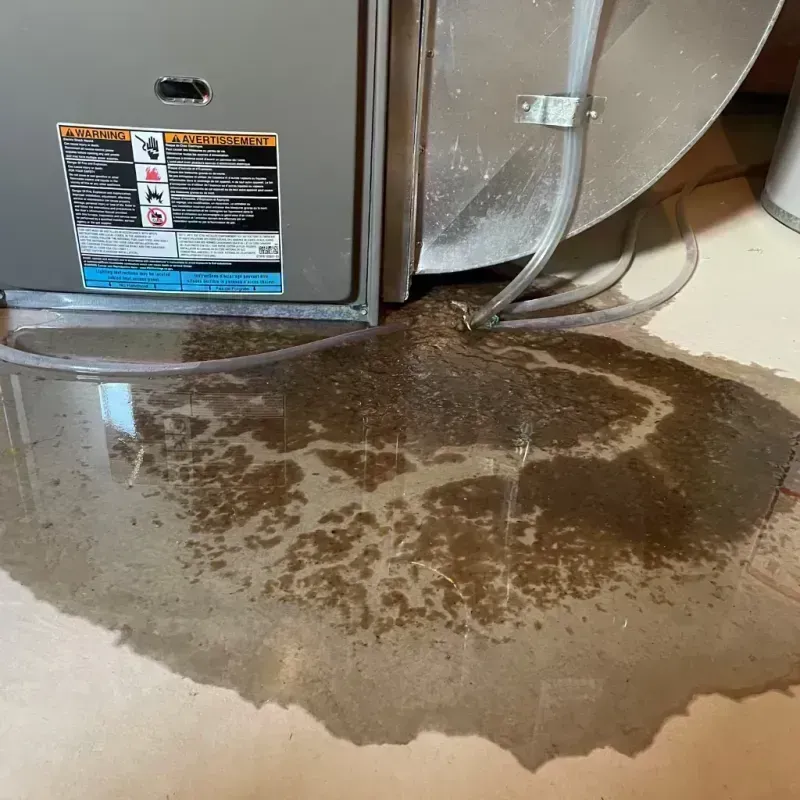 Appliance Leak Cleanup in Williamsville, IL